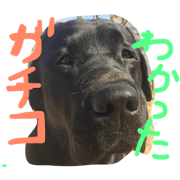 MAIMAI with 3LABS