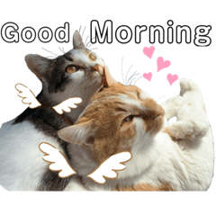 nanami_20210429005709