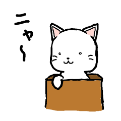 "Cat in the box"