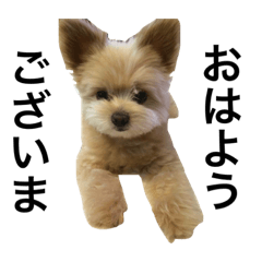 ayumi_20210429085256