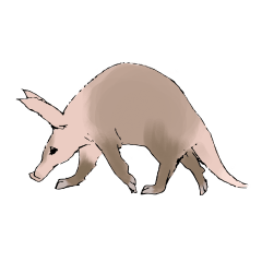 Sleepy Aardvark
