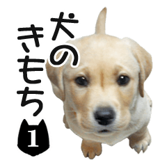INU no kimochi 1 dog