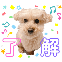 mimi_20210429133800