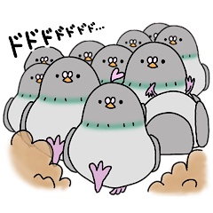 Pigeon's Popoo5