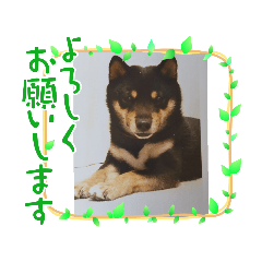 Hana_20210429142805