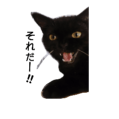 黒猫ジジくん Line スタンプ Line Store