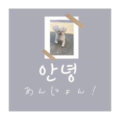 Rei_20210429085345