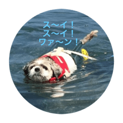yuka_20210429171904