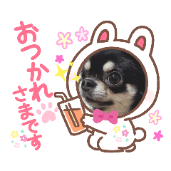 mimi_20210429161810
