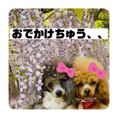 TiaCame_20210429195613