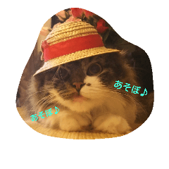 daizustamp