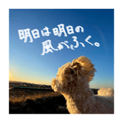 saya_20210429225724