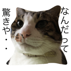 みるここ〜日常