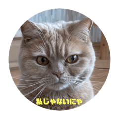 matsu_20210429231919