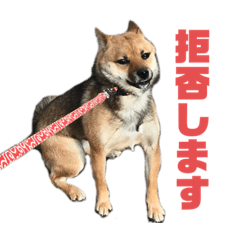 MIZUKI_20210429183515