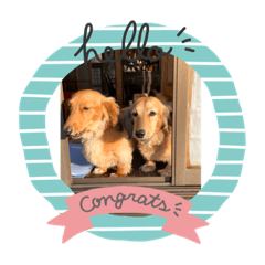 satoshi_20210429175103