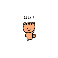 こりすさん