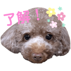 yuka_20210429172012