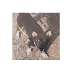 Hana_20210429192847