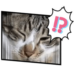 Meow plus