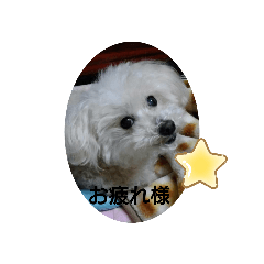 cocoa_20210429220443