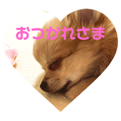 taki_20210429214543