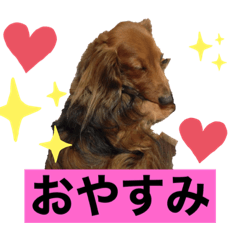 risa_20210429225146