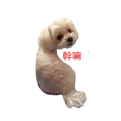 taiwan22