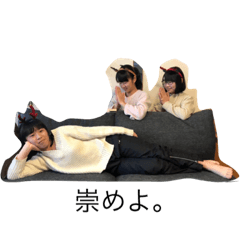 Maple_20210430030437