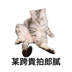 內褲醬(◐‿◑)﻿