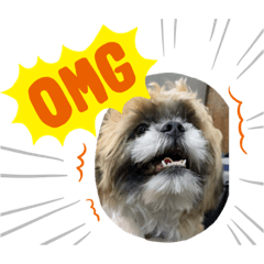 儒儒盜版狗侵權