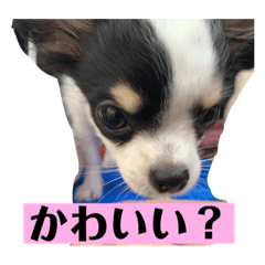 SAYURI_20210430142141