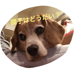 for purin's comment