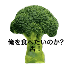 ブロッコリーの祭典 Line スタンプ Line Store ブロッコリーの祭典 Line スタンプ Line Store