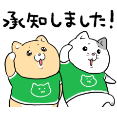 復活！CX DAY×泣きむし猫のキィちゃん