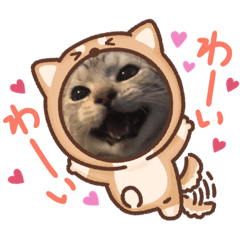 mizuki_20210430143958