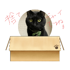 Mayuyu_20210430160013