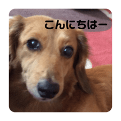 Nagisa_20210430163715