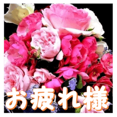 薔薇の花♡アソート12_挨拶メッセージ