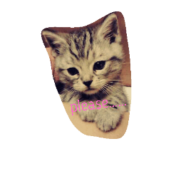 real maru