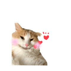 NAGISA_20210430174453