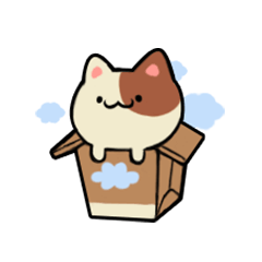 Box Cat.