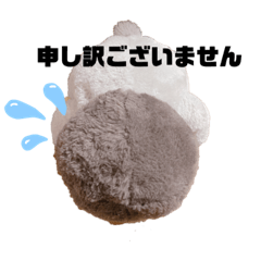 Miyuu_20210430191023