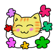 cute cat3