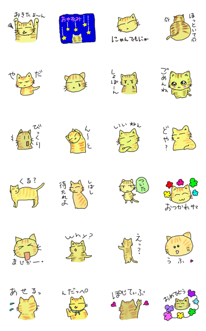 cute cat3