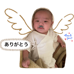 Rei1.4