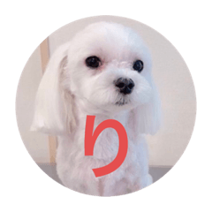 yukari_20210430202845