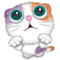 Big eyes cats - MungMing