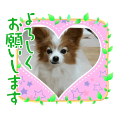 HANA_20210430205131