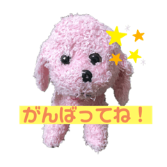 CHIYO_20210430220503